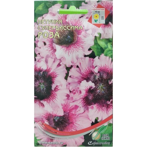 ���� ������� F1 ������������ ����, ���������� � ��������� ������� ��������� ����� � �������, 20 ����� ������ ������