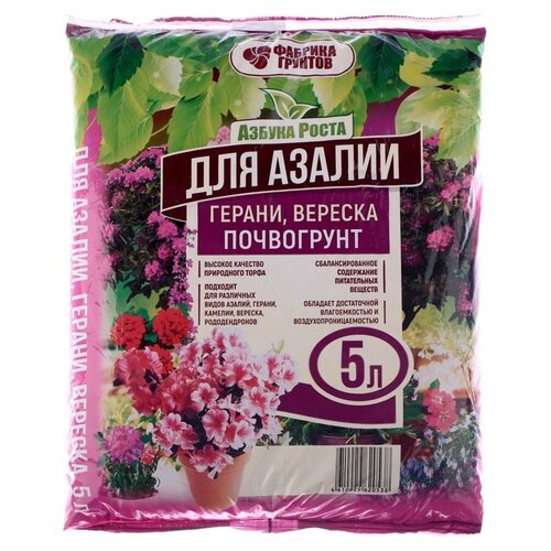 ���� ���������� ������� ������� ������ ������������, 5 �, 2.3 �� ������ ������