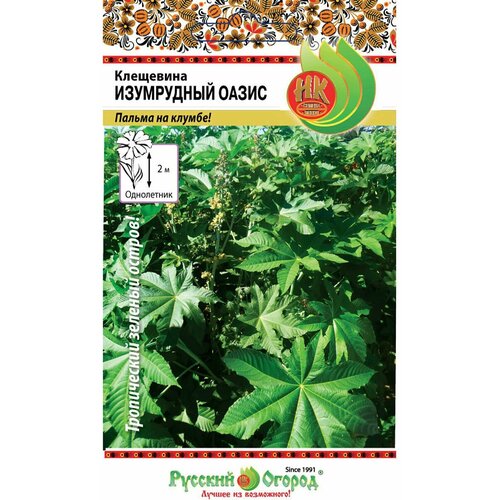 ���� ������. �����. ��������� 