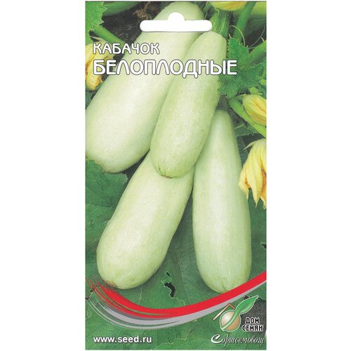 ���� ������� �����������, 12 ����� ������ ������