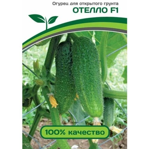 ���� ������������� ������ ������ ������ F1 ������ ������