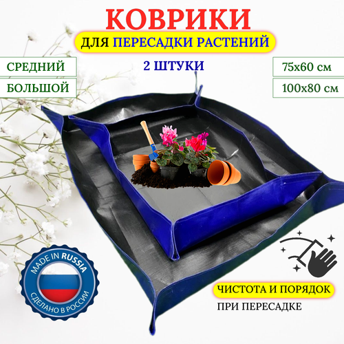 ���� ��� ����� �������� ��� ��������� �������� �����������, ����������� ���������� ������ ������