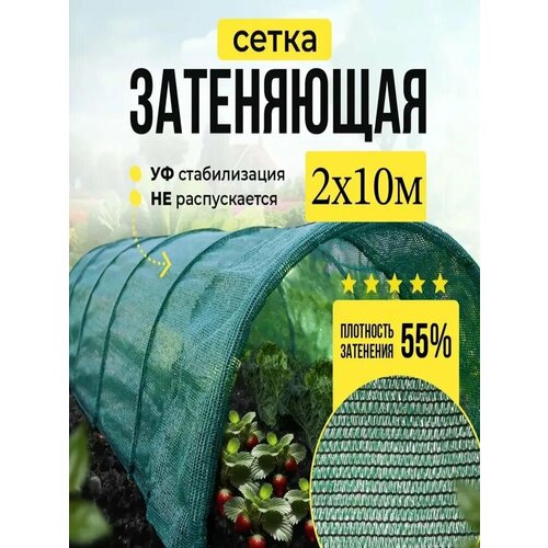���� ����� ���������� 55% ��� ������, �������, �������, ������ 2� � 10 � ������ ������