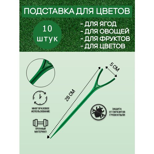 ���� ����� ��� ��������, ��������� ��� ���� � ������, �������, 10�� ������ ������