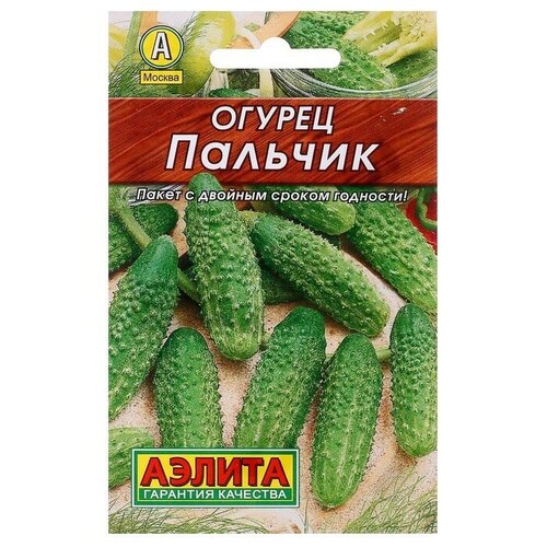 ���� ��������� ������ ������ ������ �������, �����������, ��������������, 20 �� ������ ������