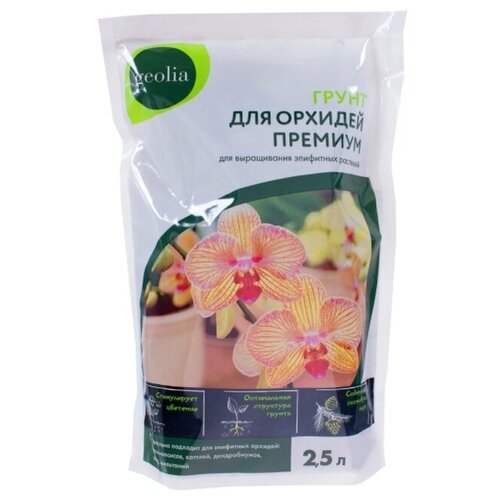 ���� ����� ��� ������� 2.5 � ������ ������