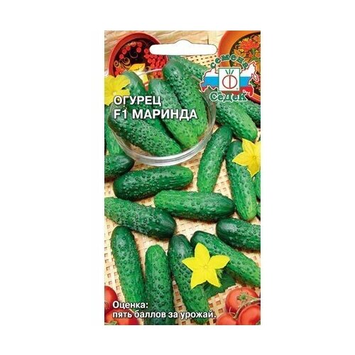 ���� ������ ������ ����� ������� F1 ������ ������