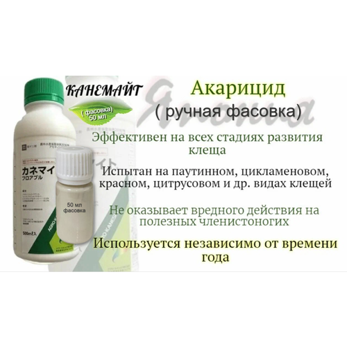 ���� �������� ������ ������ �������� ���������� �� ���� ������� �������� �����, 50 �� ( �������) ������ ������