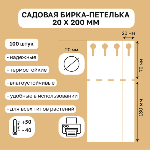     20x200 . 100    -     , -, 