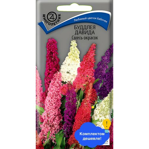 ���� ����� ������� ������ ����� ������� ������ ������