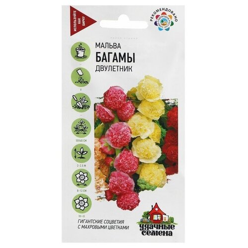 ���� ������ ������ ������ 