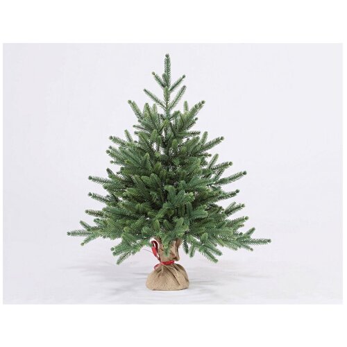 ���� ��� ������������� ���� ���� ��������, 60 �� ������ ������