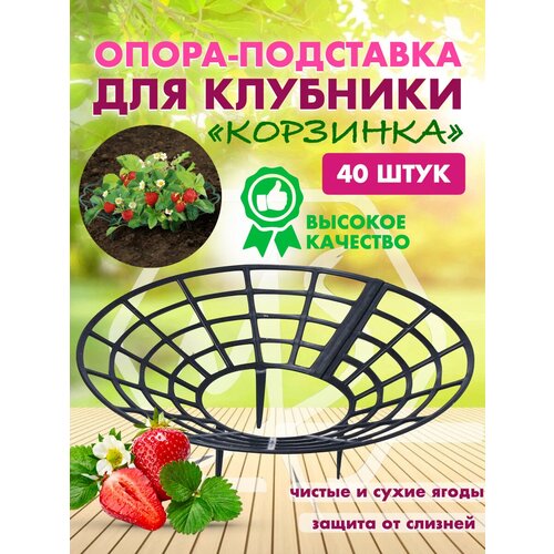 ���� ��������� ��� ��������, �����, ��������, ��������� ������� ��� ������ ��������, ��������, ������ ����� 40 ���� ������ ������