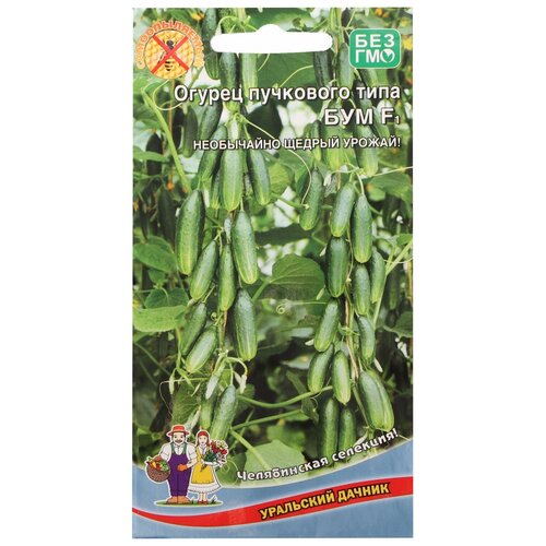 ���� ������ ��������� ������ ������ ��������� ���� ��� F1 5 �� ������ ������