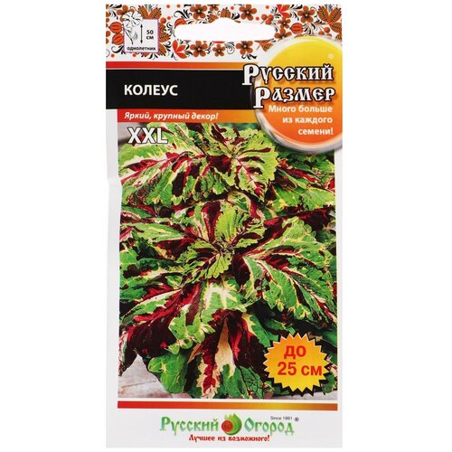 ���� ������ ������ ������, ����� ������� ������, 4 �� 5431536 ������ ������