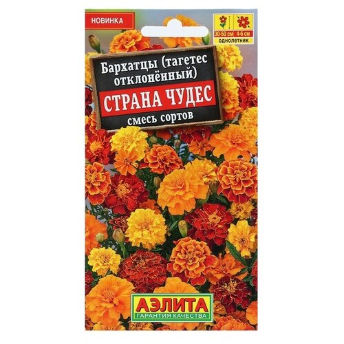 ���� ������ ��������� ������ �������� ������ ����� �����������, ����� ������, 0,3 �� ������ ������