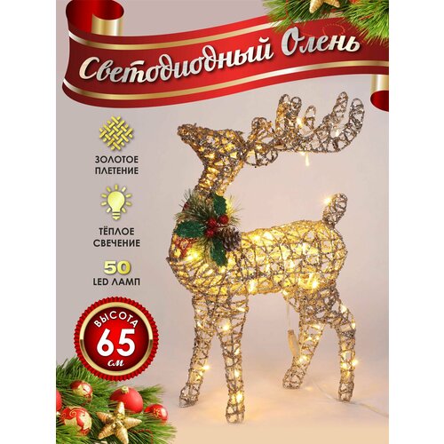 ���� ����� ���������� ������������ ���������� 60 �� ������� ������ ������