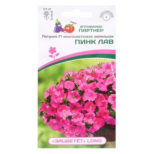 ���� ������ ������� 