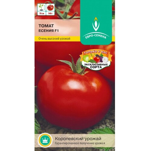 ���� ����� ������ F1. ������. ������������ ��������������� ������. �������� ������� 65-70 ��. ����� ����� �������, ���� �������, ������ �� 140 ��. ������ ������