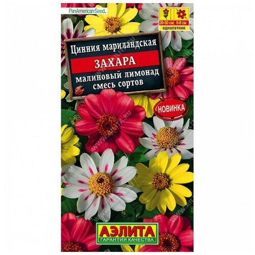 ���� ������. ������ 