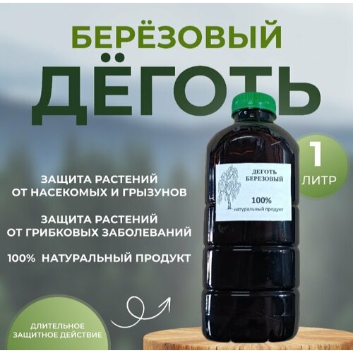 ���� ������ ��������� 1� ������ ������