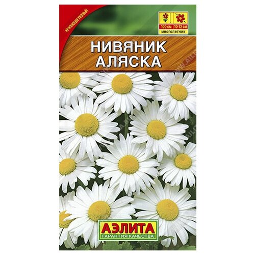 ���� ������ ������� ���������� 