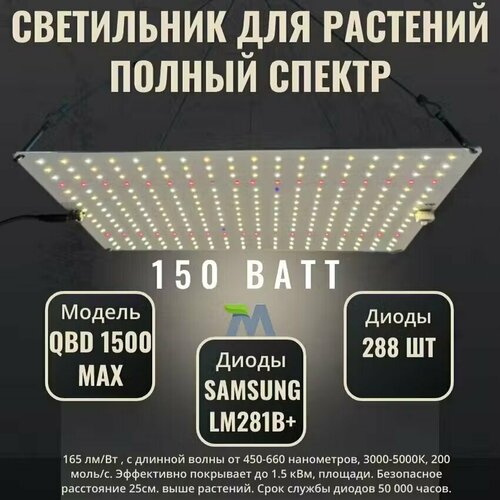     QBD 1500 MAX,   Samsung LM281b+, 150   -     , -, 