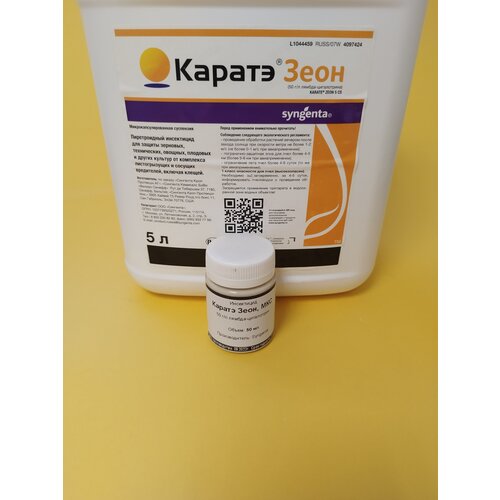 ���� ���������� ������ ���� �� ���������-���������� 50 �� ������ ������