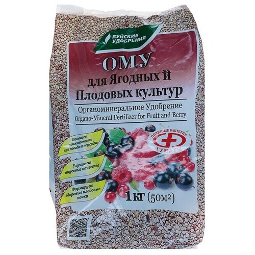 ���� ��������� ����������������� ��� ������� � �������� �������, 1 �� ������ ������