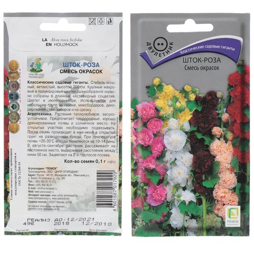 ���� ������ ����-���� ����� ����� ������ ������