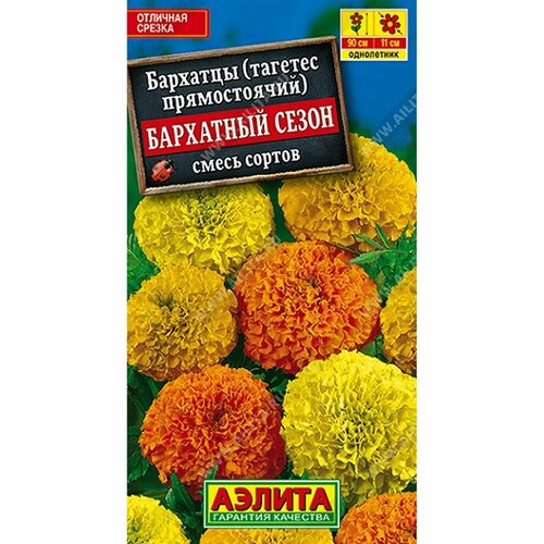 ���� ������ �������� ��������� �����, ����� ������, ����������, (������) 0,1� ������ ������