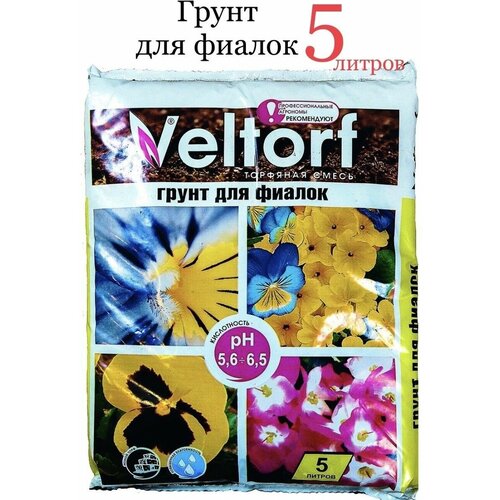 ���� ����� ��� ������ 5 � ������ ������