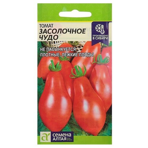 ���� ������ ����� 