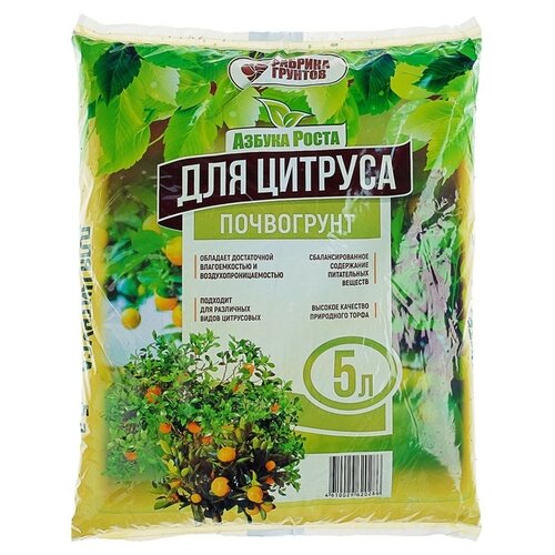 ���� ���������� ������� ������� ������, 5 �, 2.3 �� ������ ������