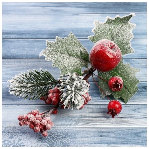 ���� ����� ������ ���������� ������ ����� 3573517, 20 ��, �������/������� ������ ������