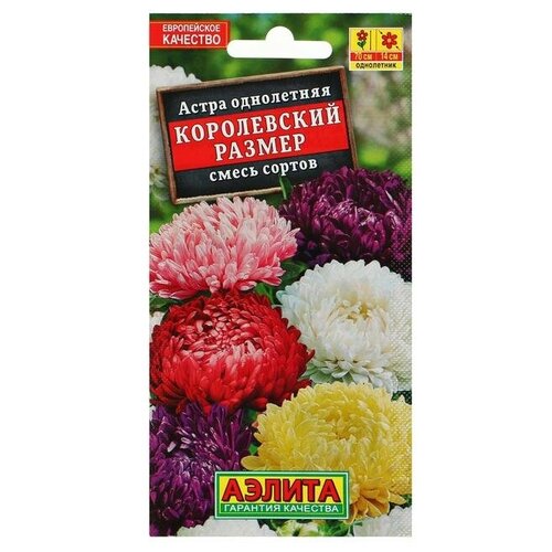 ���� ������ ������ ����� 