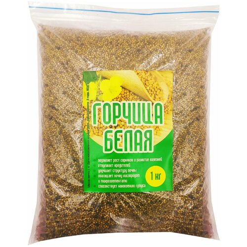 ���� ������ ������� ������� ����� 1 �� ������ ������