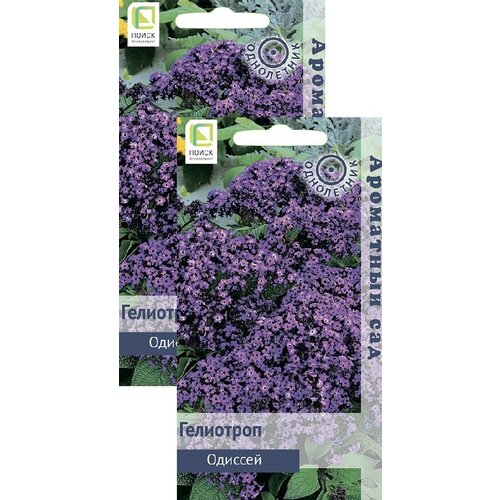 ���� ��������� ������� (0,03 �), 2 ������ ������ ������