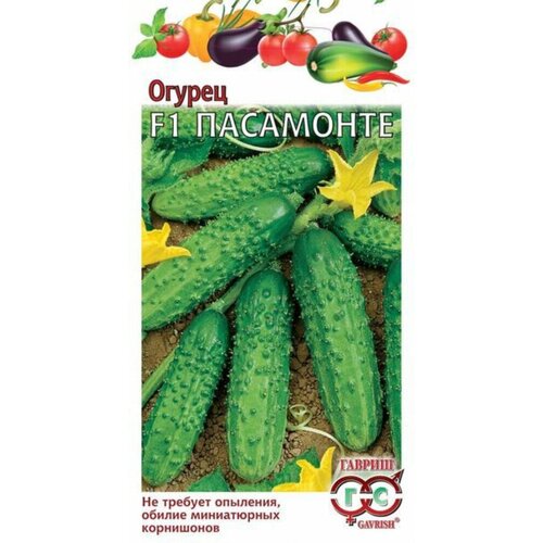 ���� ������ ������ ��������� F1 �������� 0,3� ������������������ ������ (������) ������ ������