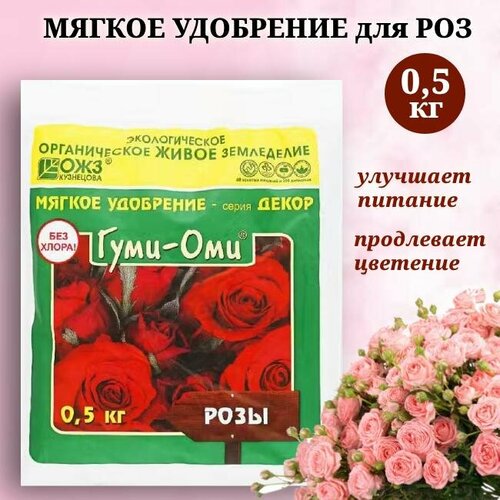 ���� ����������� ����������������� ��������� 