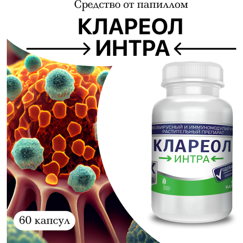 ���� �������� �� ��������� � ��������, 1 ��, 60 ������ ������ ������