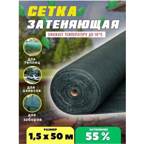 ���� ����� ���������� �������, ��������� 55%, ������ 1,5�50� ������ ������