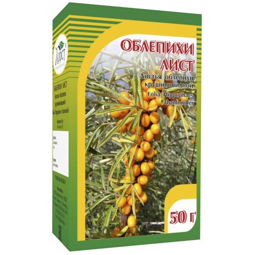 ���� ����� ������ �������� ������ ������