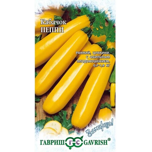 ���� ������� ����� ������ ������