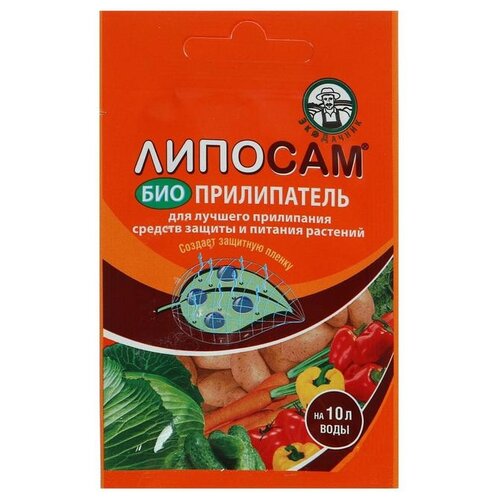 ���� ��������� ������� ��������������, 8 ��, 10 � ������ ������