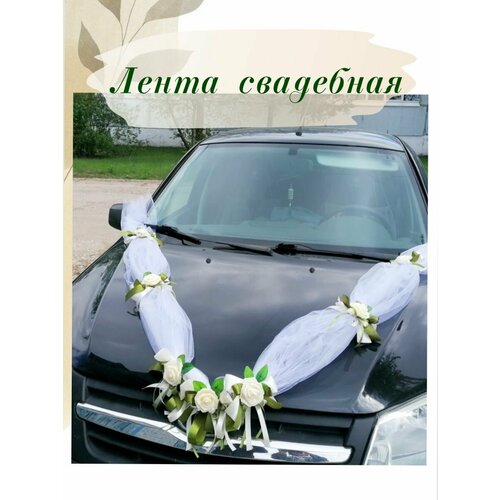 ���� ����� ��������� 