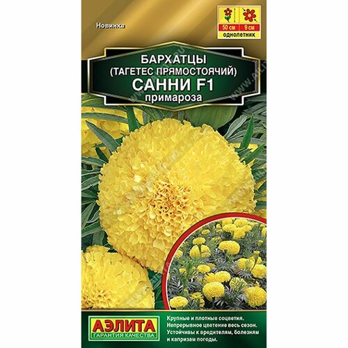 ���� ������ �������� ����� F1 ��������� ����, ����������, (������) 10�� ������� ����� ������ ������