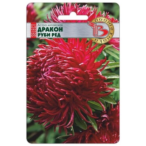 ���� ����� ������ ���� ��� ������ ������