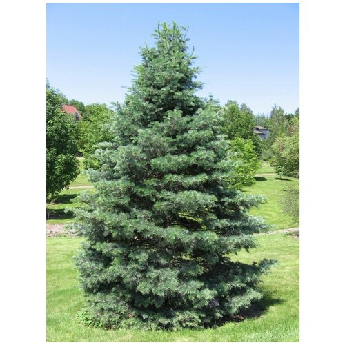 ���� ����� ���������-������ ������ ������