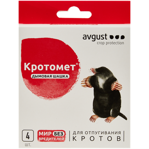 ���� �������� avgust �������� ������� �����, �������, 0.16 �� ������ ������